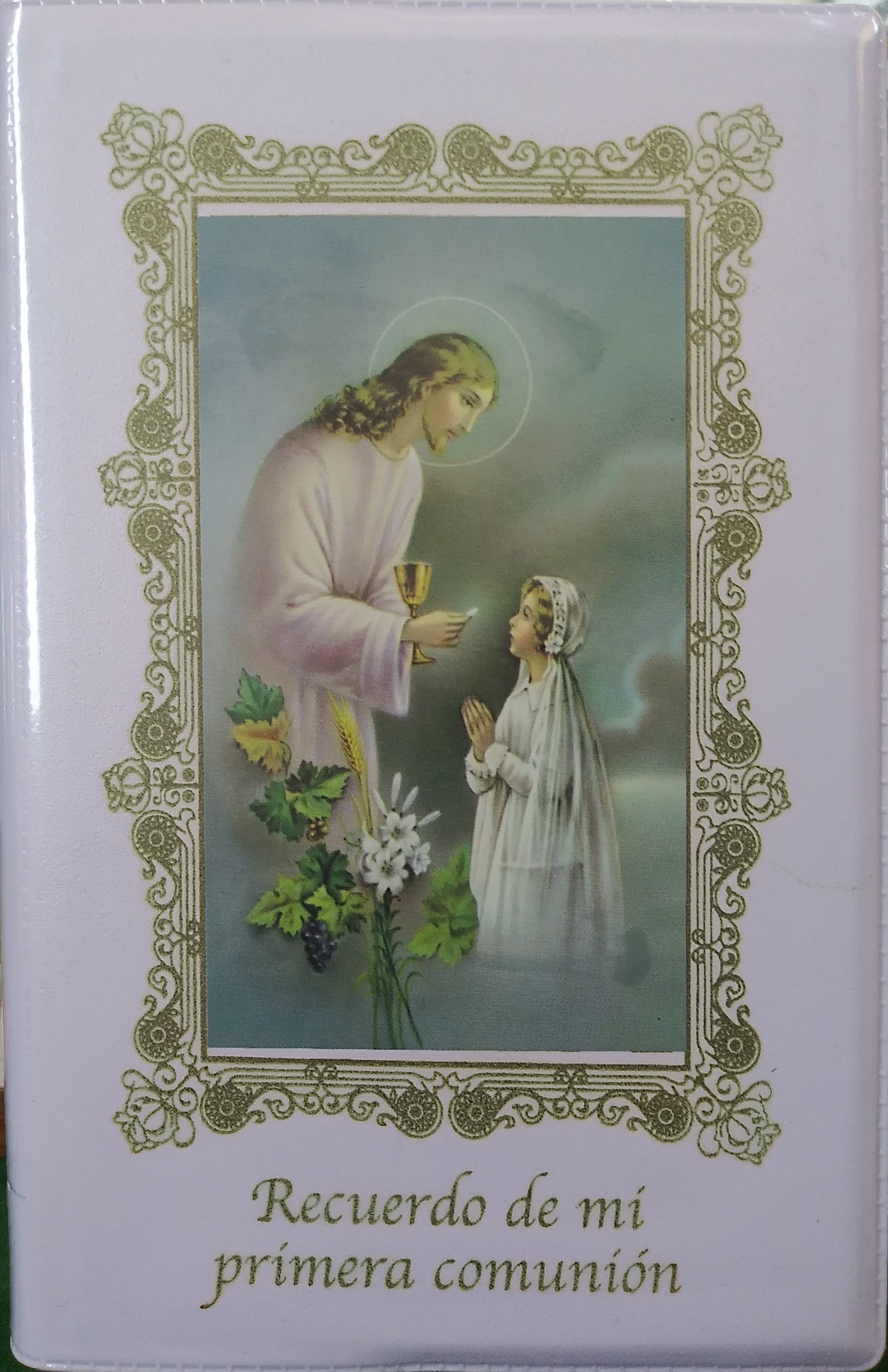 Biblia De Mi Primera Comunion