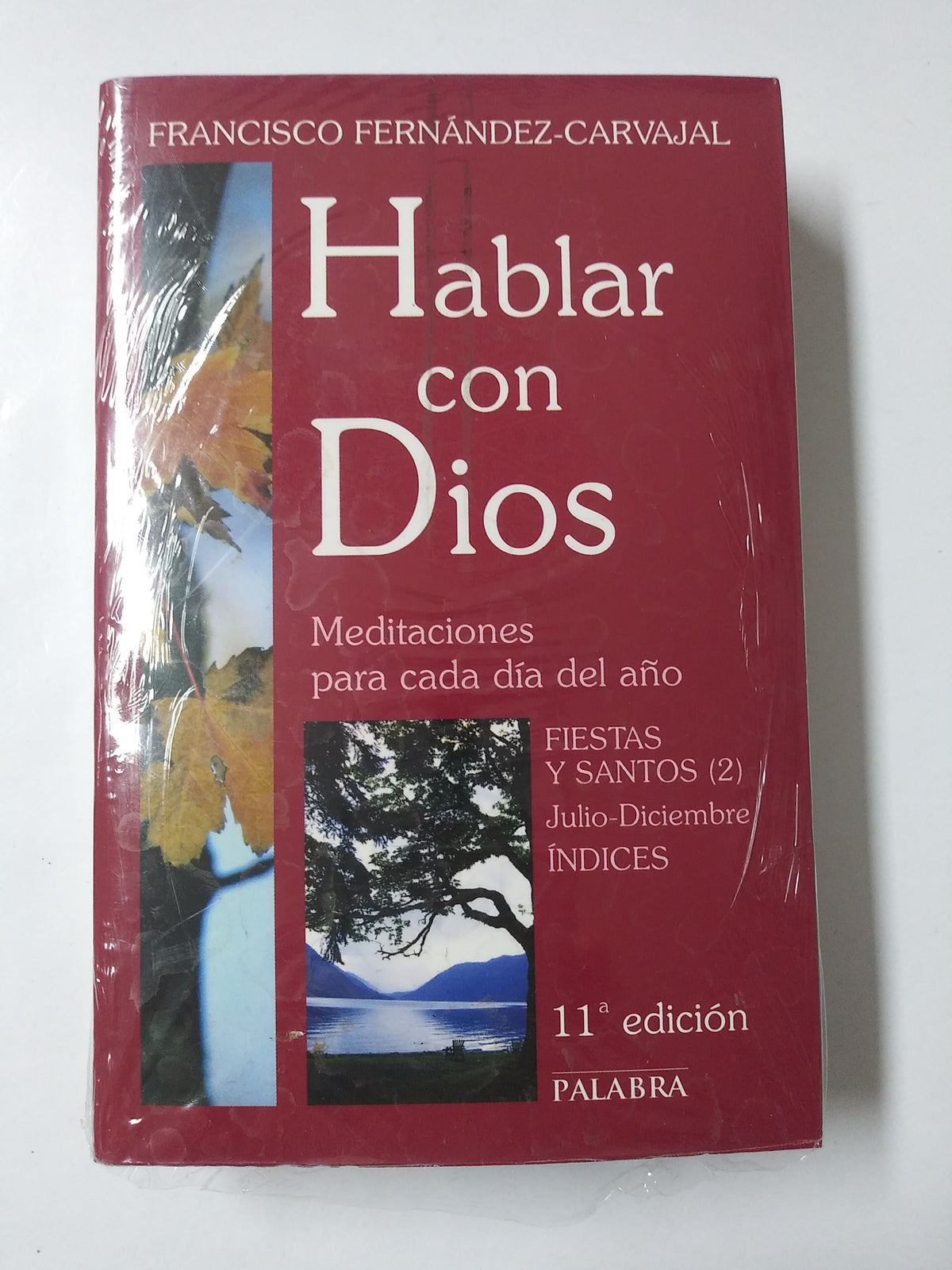 Hablar Con Dios Meditaciones Para Cada Dia Del Año Fiestas Y Santos (2) Julio- Diciembre 11° Edicion
