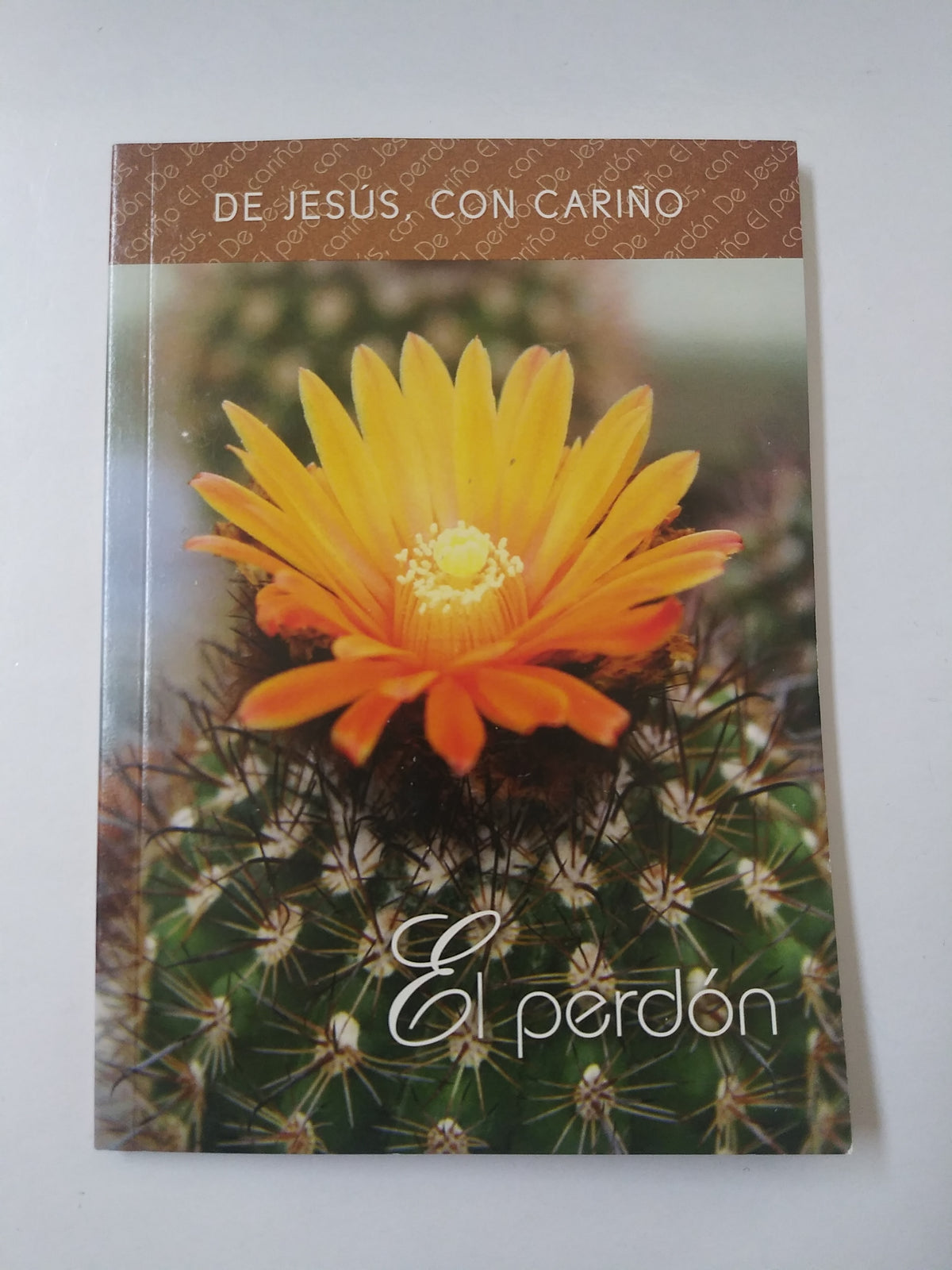 De Jesus, Con Cariño - El Perdón