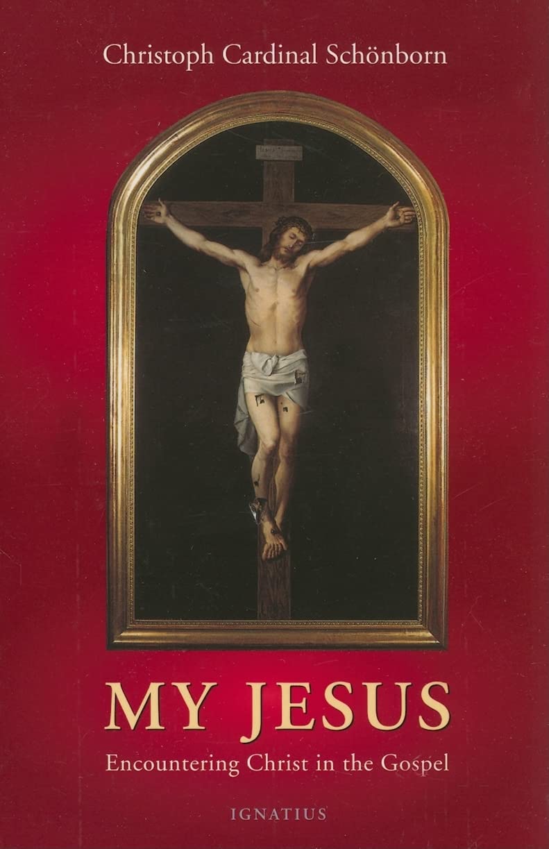 My Jesus Encountering Christ In The Gospel