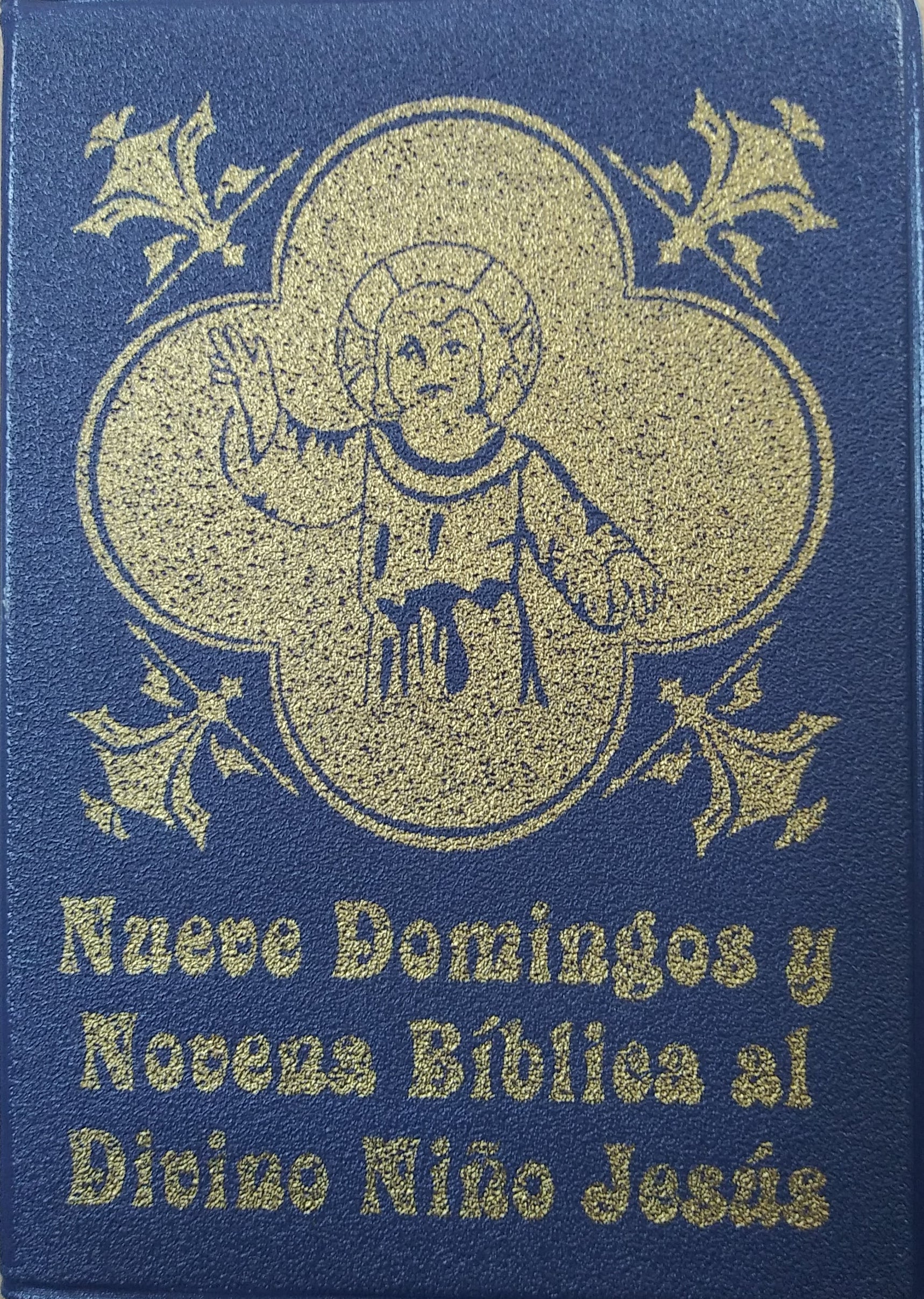 Nueve Domingos Y Novena Biblica Al Divino Niño Jesus