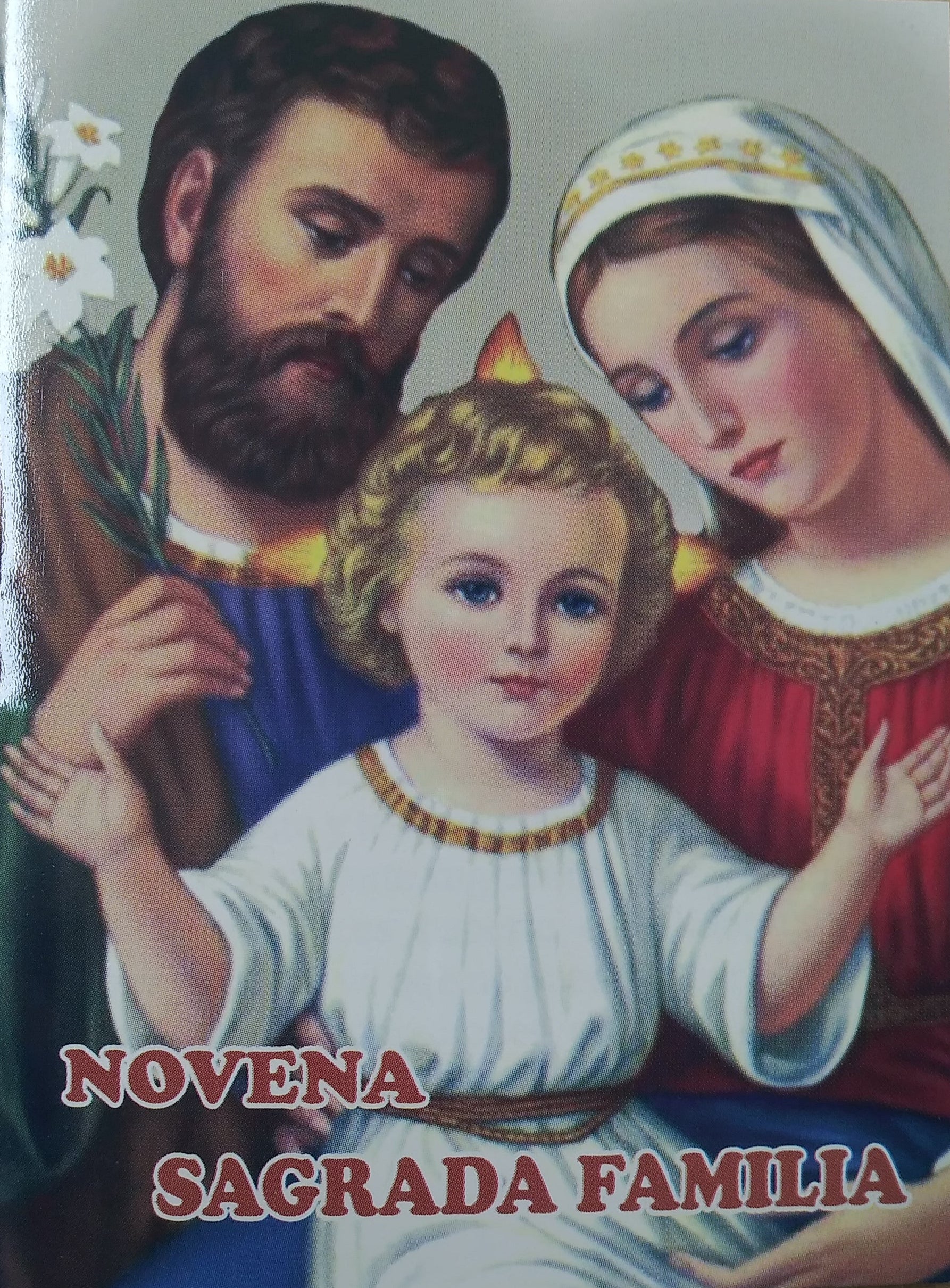 Novena Sagrada Familia