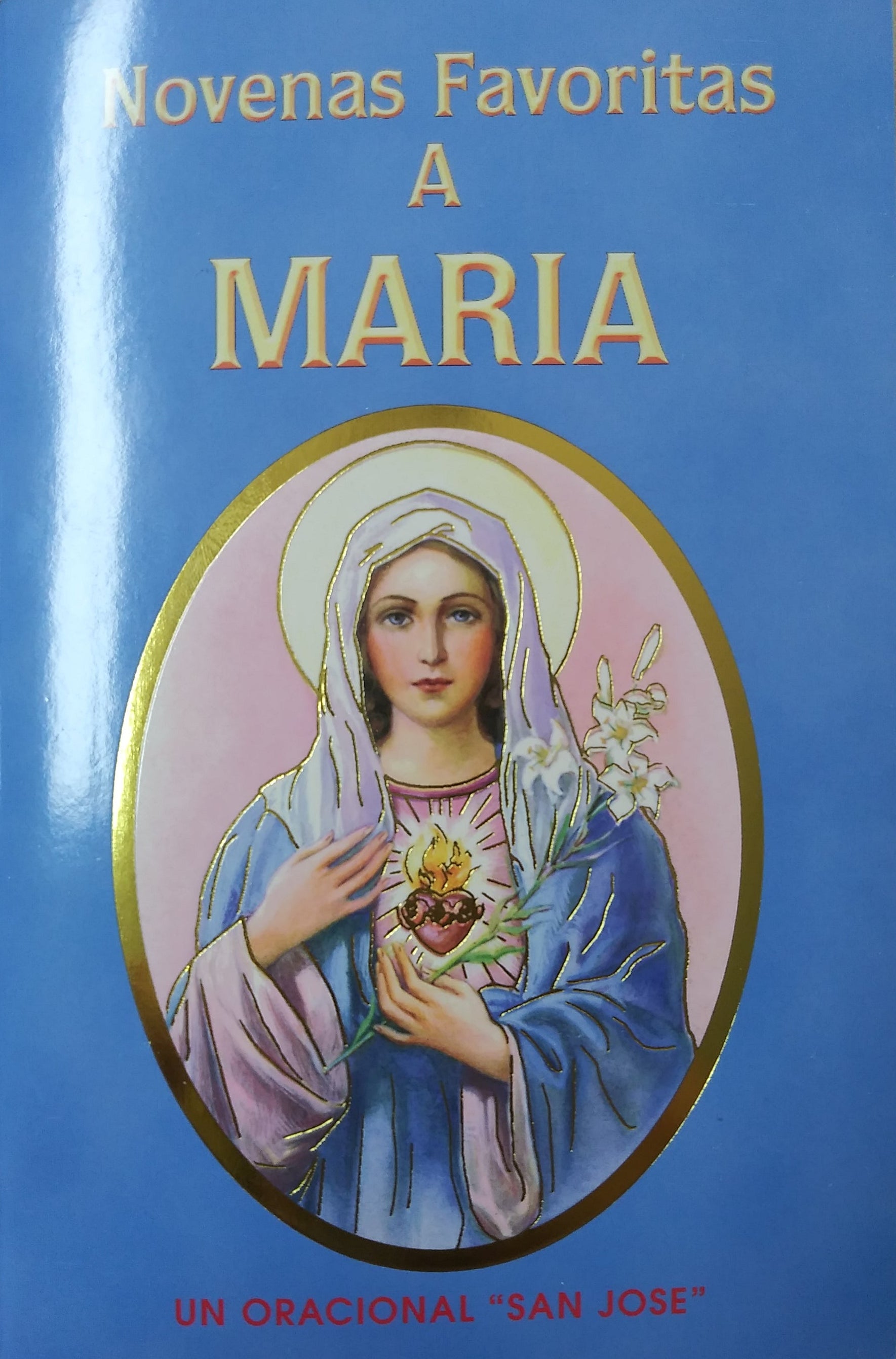 Novenas Favoritas A Maria