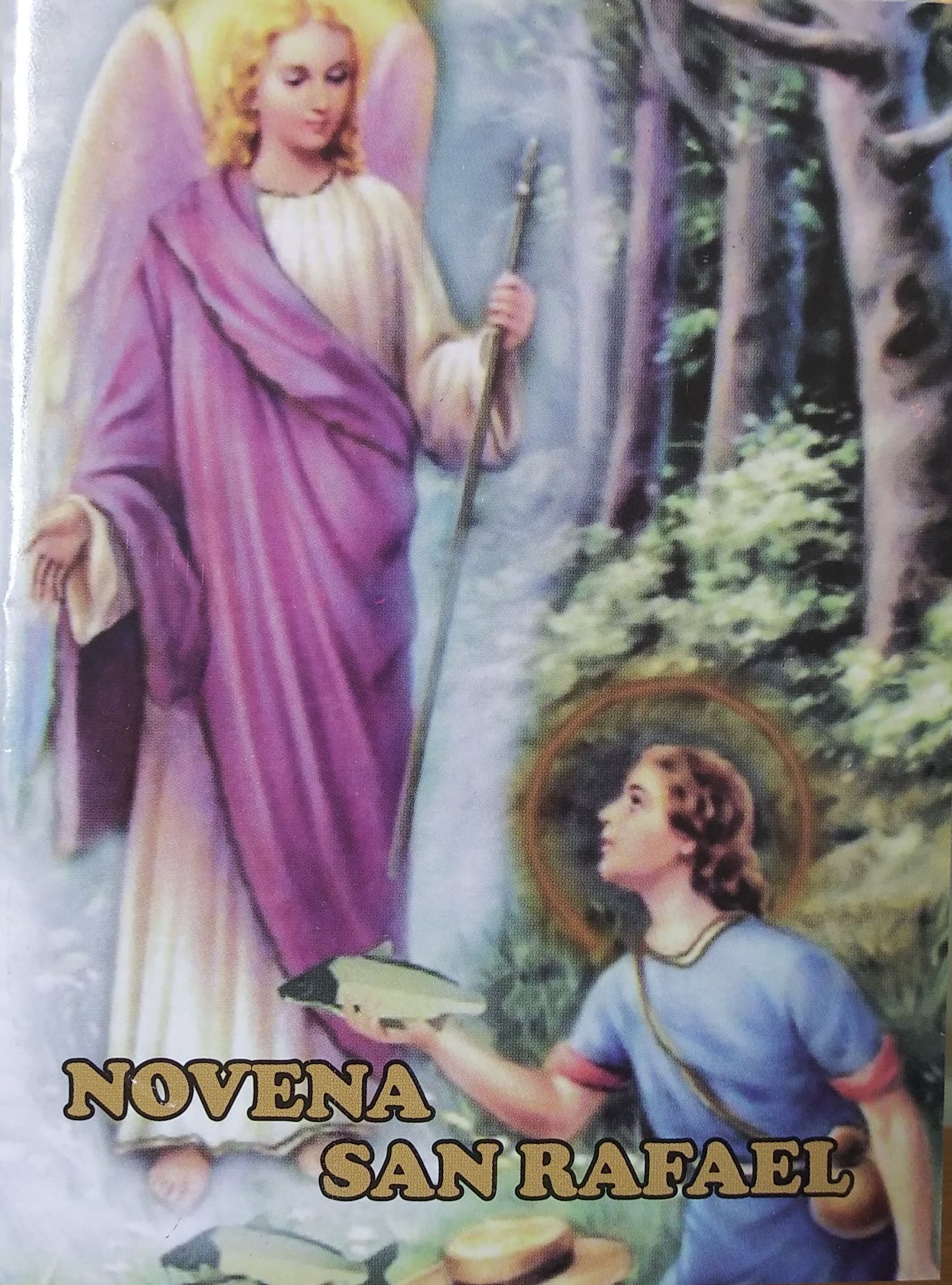 Novena San Rafael