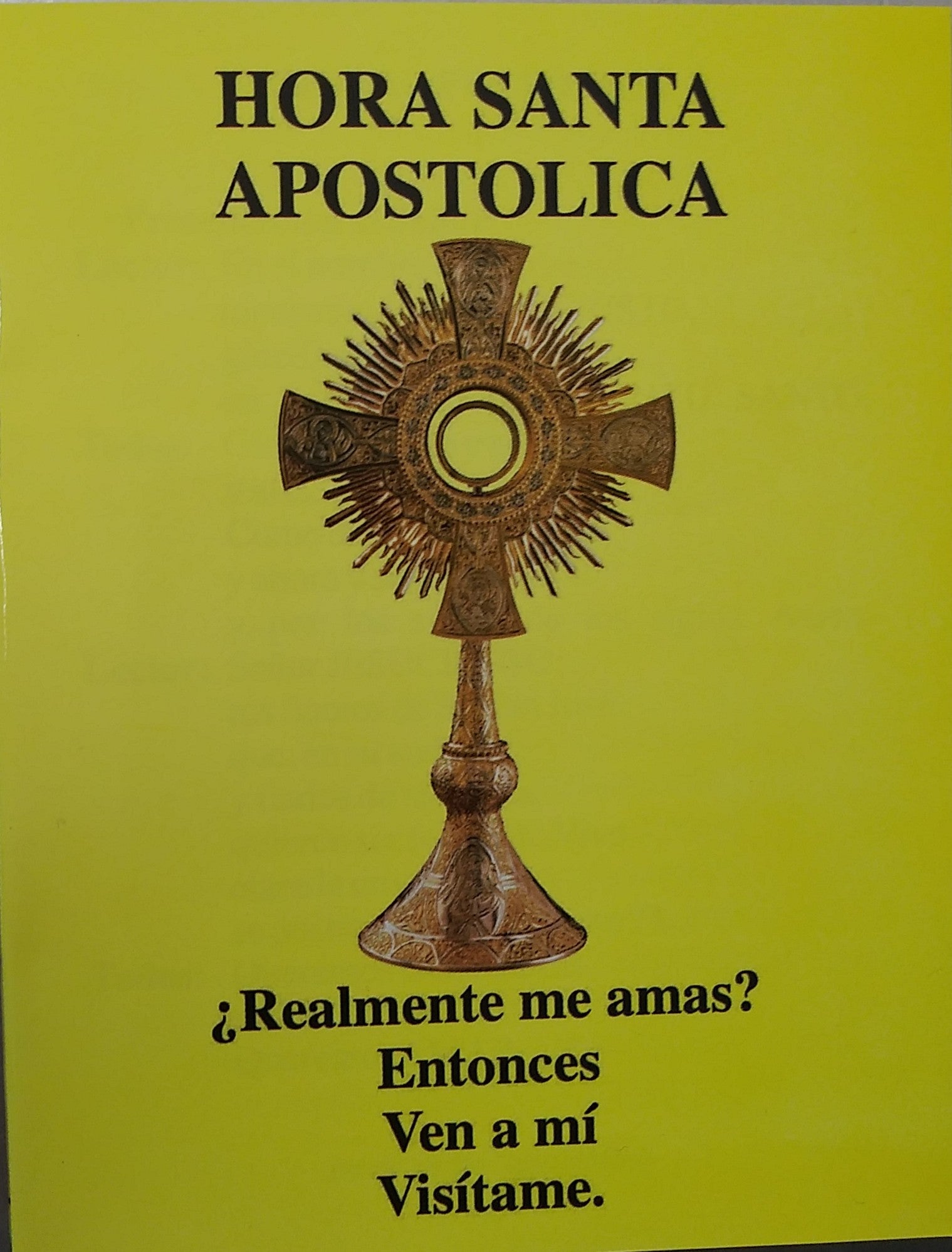 Hora Santa Apostólica