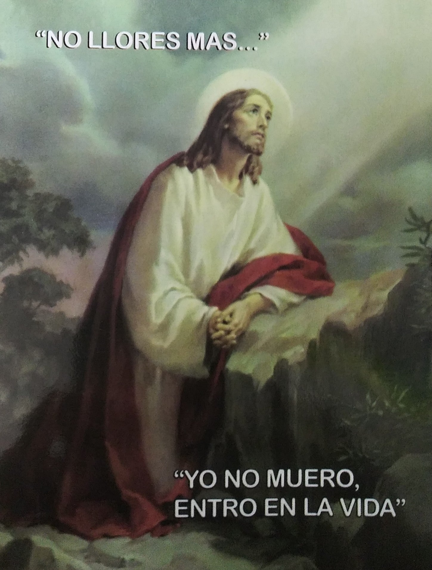 "No Llores Mas Yo No Muero, Entro en la Vida"