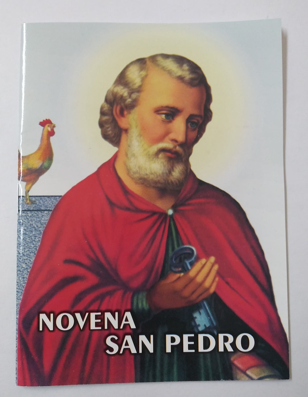 Novena San Pedro