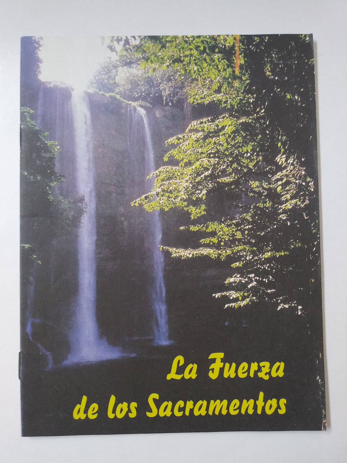 La Fuerza De Los Sacramentos