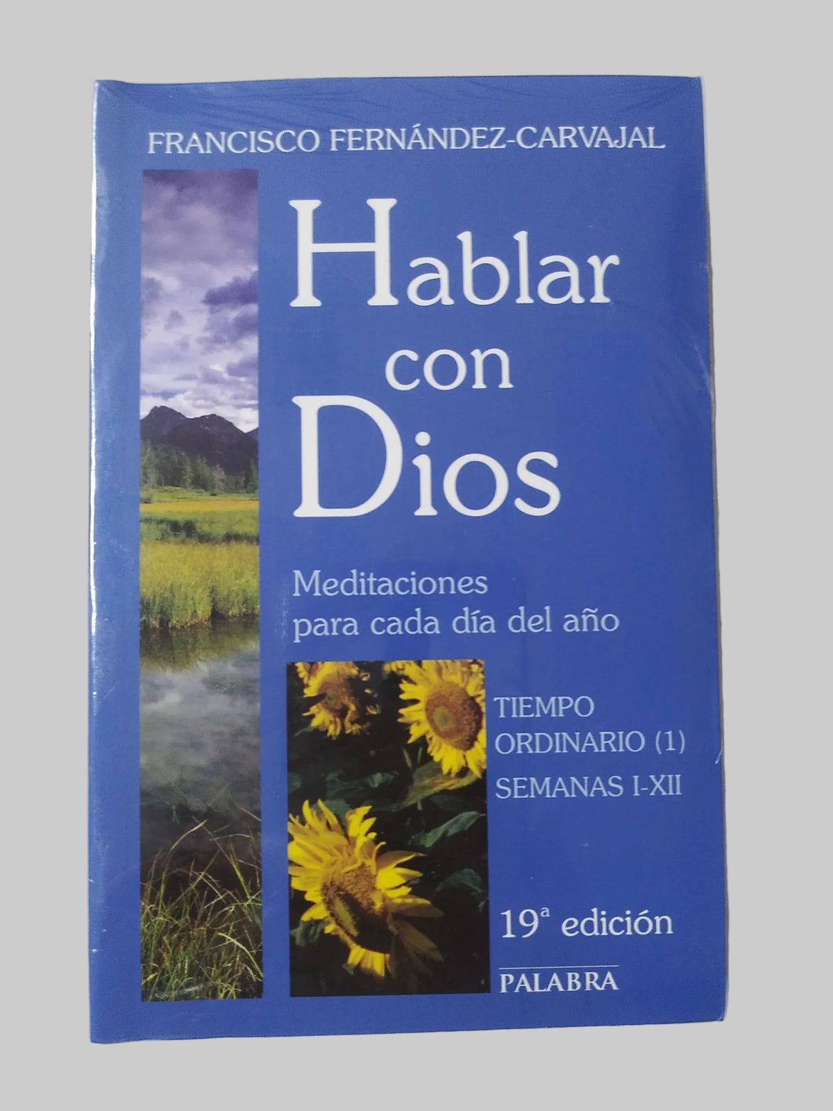 Hablar Con Dios Meditaciones Para Cada Dia Del Año Tiempo Ordinario (1) Semanas I-XII 19° Edicion
