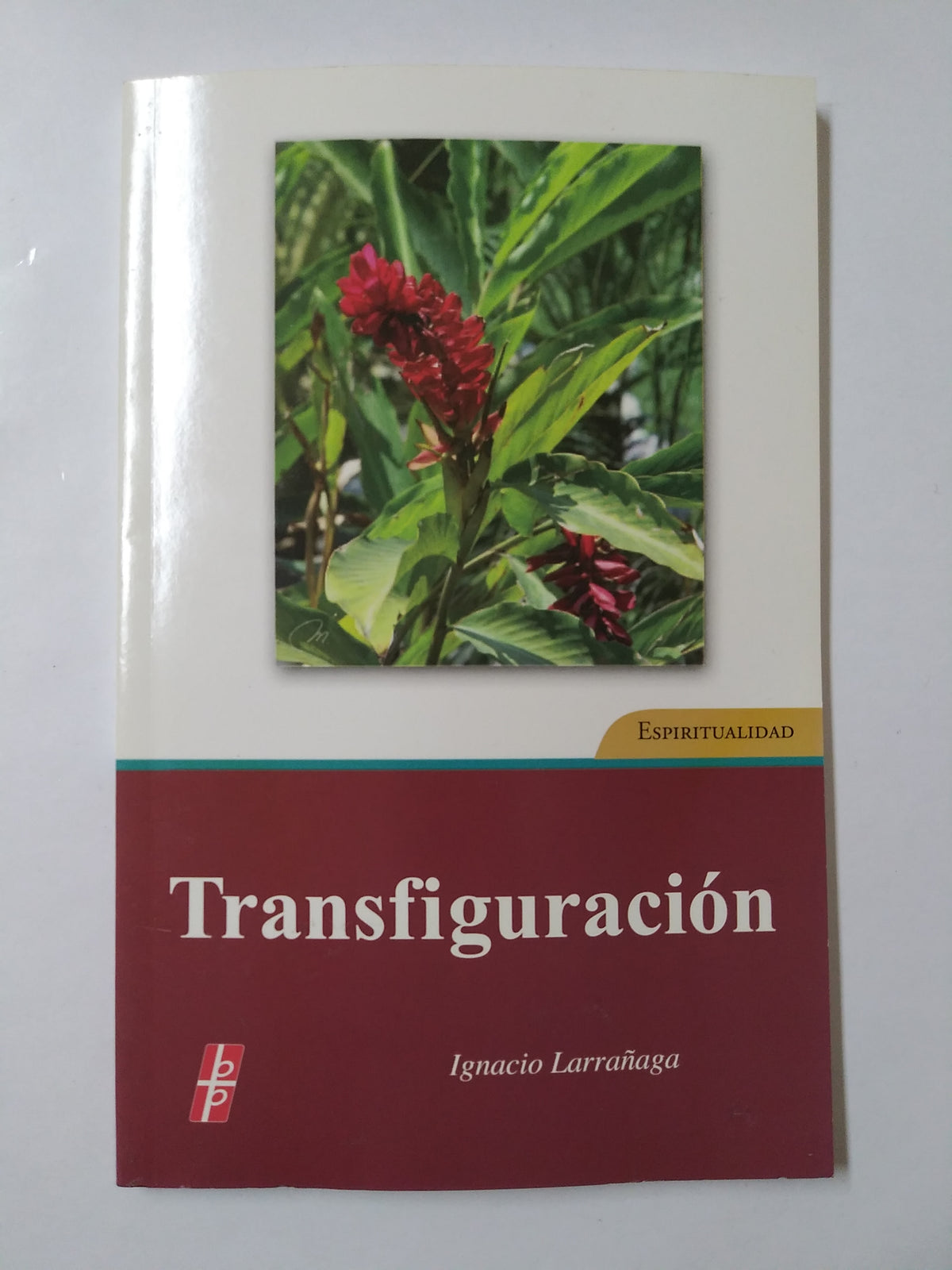 Transfiguracion