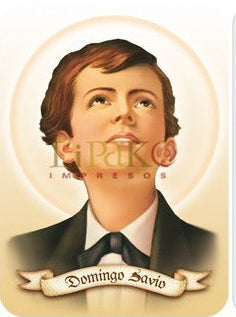 Santo Domingo Savio Estampa Chica