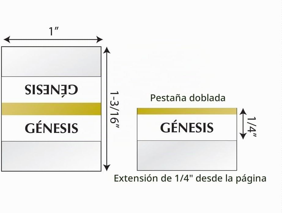 Etiquetas De Indizacion Para Biblias De Orilla Dorado