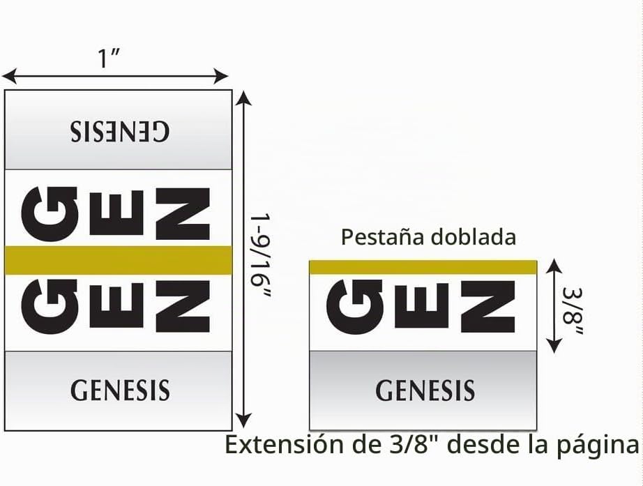 Bible Indexing Tabs Large Print Gold-Edged