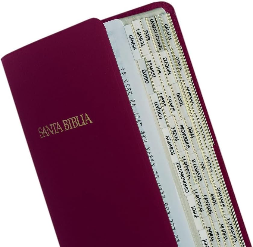 Etiquetas De Indizacion Para Biblias De Orilla Dorado