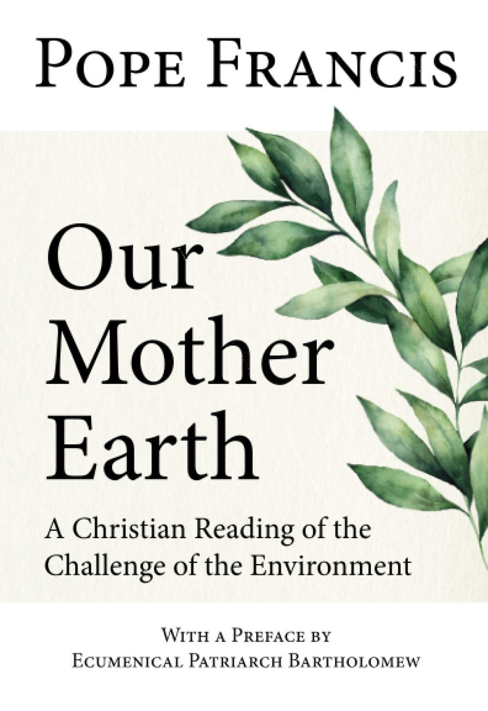 Our Mother Earth A Christian Reading Of The Challenge Of The Environment