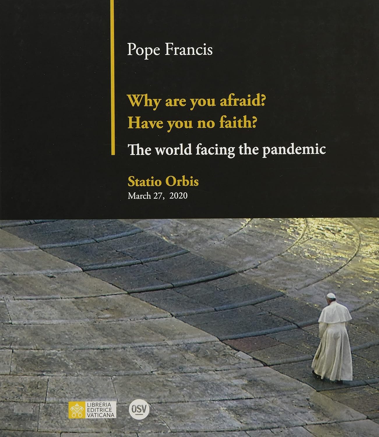 The World Facing The Pandemic