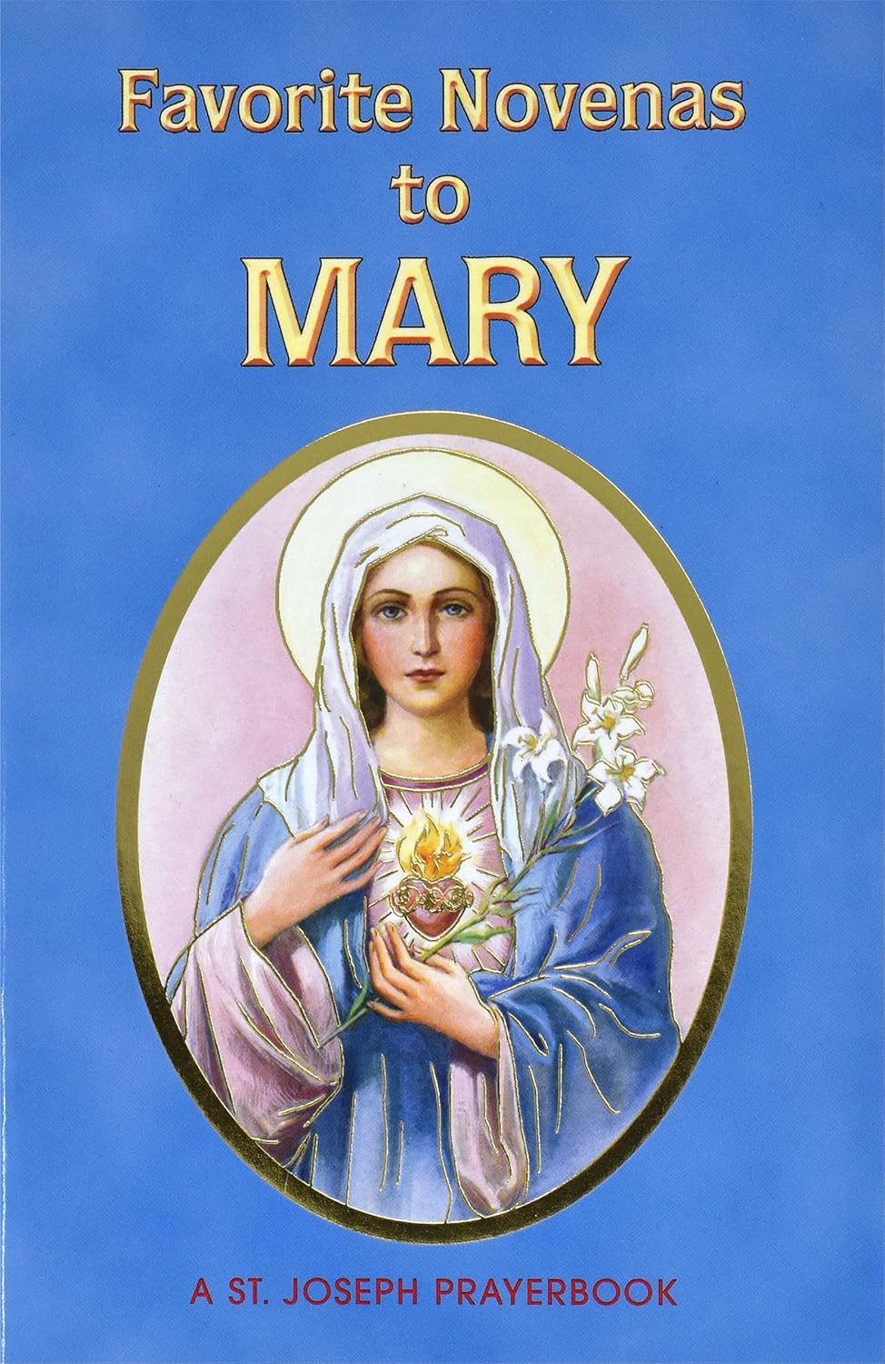 Favorite Novenas To Mary