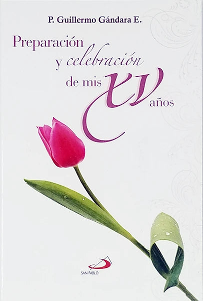 Preparacion Y Celebracion De Mis XV Años