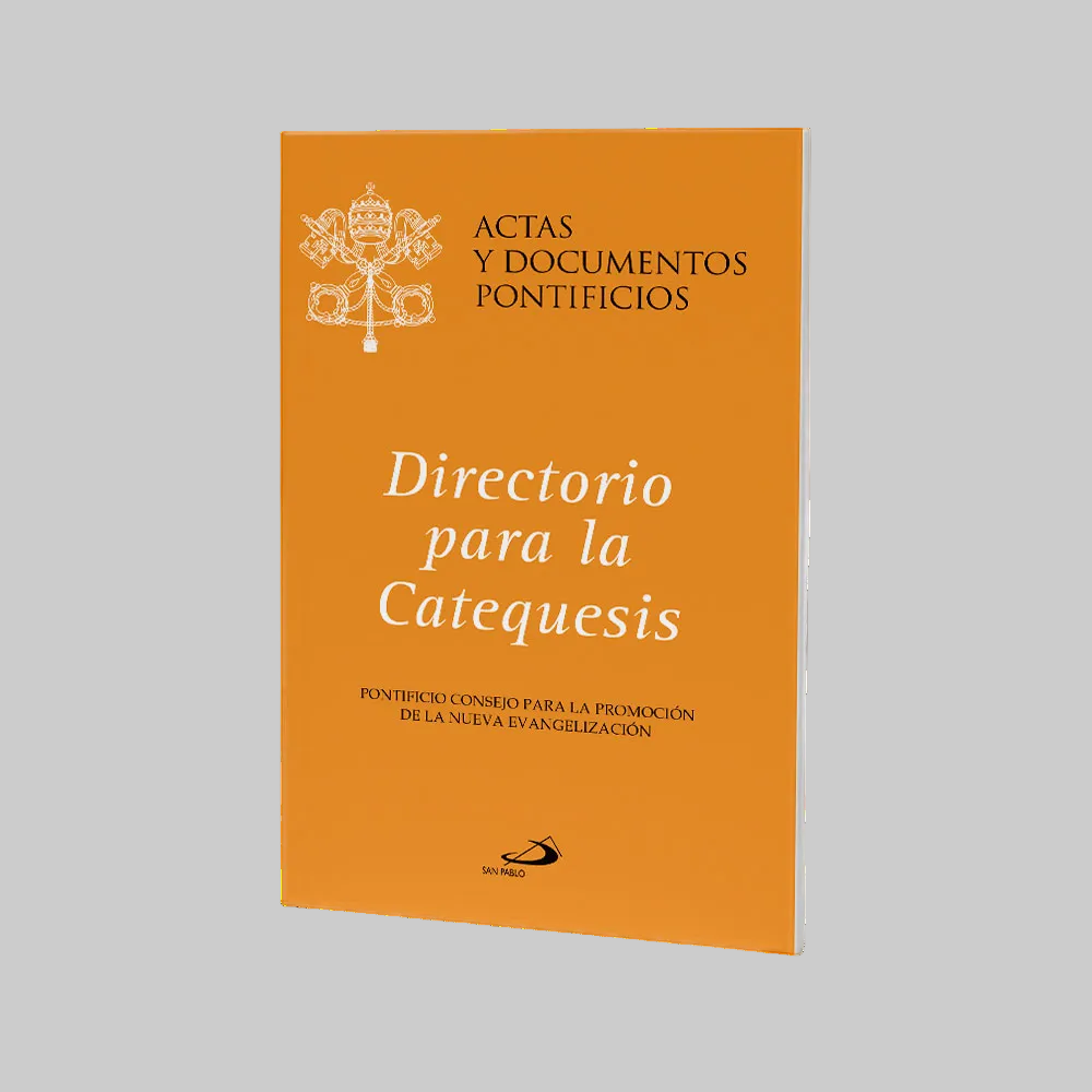207 Directorio Para La Catequesis