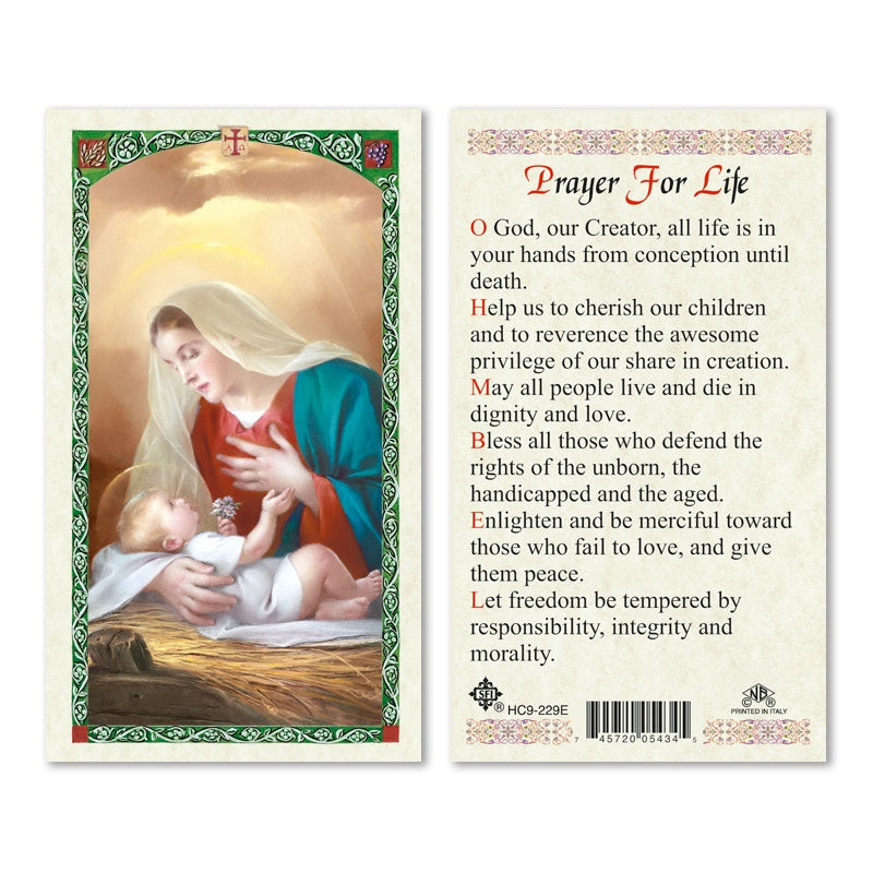 Prayer For Life Holy Card